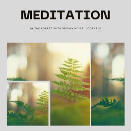 Album cover of Meditation in the Forest with Brown Noise, Loopable
