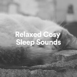 Album cover of Relaxed Cosy Sleep Sounds