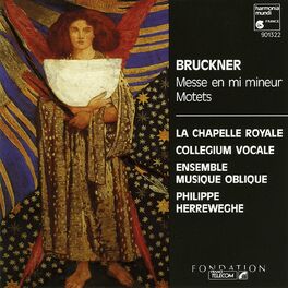 Album cover of Bruckner: Mass in E Minor & Motets