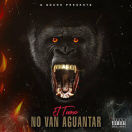 Album cover of No Van Aguantar