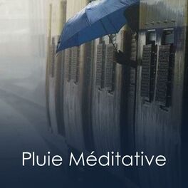 Album cover of Pluie Méditative