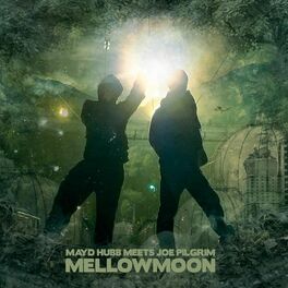 Album cover of Mellowmoon