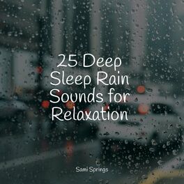 Album cover of 25 Deep Sleep Rain Sounds for Relaxation