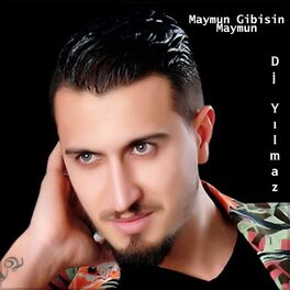 Album cover of İzmir Gaydası Maymun Gibisin Maymun (Roman Havası)