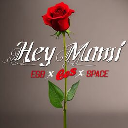 Album cover of Hey Mami (Remix)