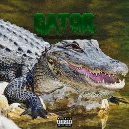 Album cover of GATOR (feat. Baby K)