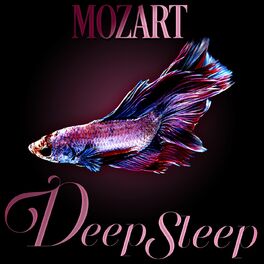 Album cover of Mozart Deep Sleep