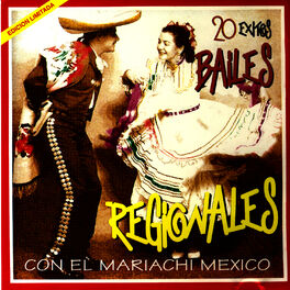 Album cover of 20 Exitos Bailes Regionales