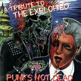 Various Artists - Radical Records - Punk's not Dead: A