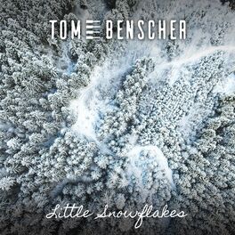 Album cover of Little Snowflakes (Piano Version)