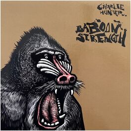 Album cover of Baboon Strength