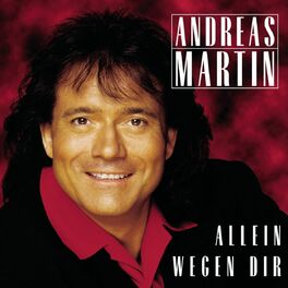 Album cover of Allein wegen Dir