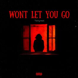 Album cover of Won't Let You Go