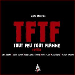 Album cover of Tout feu tout flamme (Remix)