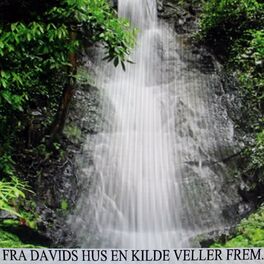 Album cover of Fra Davids Hus en Kilde Veller Frem Cd5