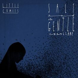 Album cover of Salt and Its Gentle Corollary