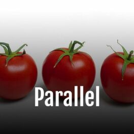 Album cover of Parallel