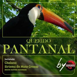 Album cover of Querido Pantanal
