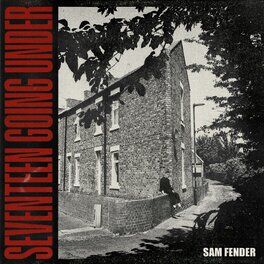 Album cover of Seventeen Going Under (Deluxe)