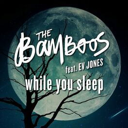 Album cover of While You Sleep (feat. Ev Jones)