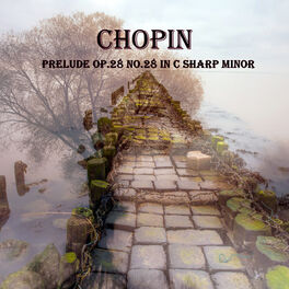 Album cover of Prelude Op.28 No.28 in C Sharp Minor