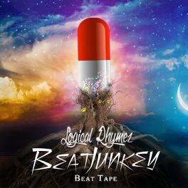 Album cover of BeatJunkey