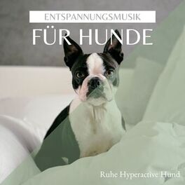 Album cover of Entspannungsmusik für Hunde: Ruhe Hyperactive Hund