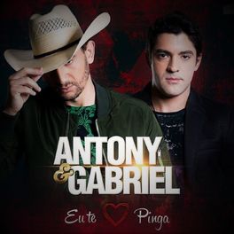 Album cover of Eu Te Amo Pinga