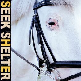 Album cover of Seek Shelter