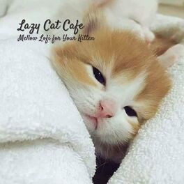 Album cover of Lazy Cat Cafe: Mellow Lofi for Your Kitten