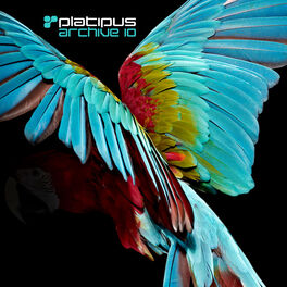Album cover of Platipus - Archive 10