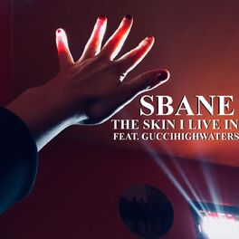 Album cover of The Skin I Live In