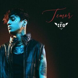 Album cover of Temor
