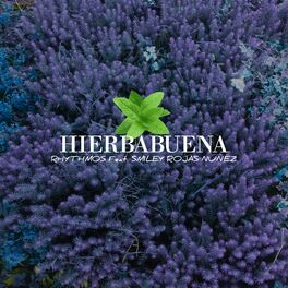 Album cover of Hierbabuena