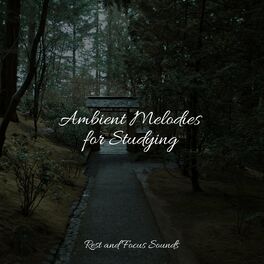 Album cover of Ambient Melodies for Studying