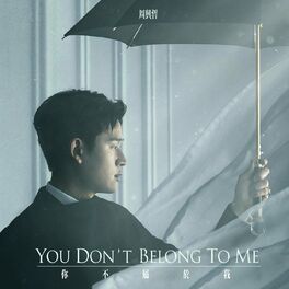 Album cover of You Don't Belong to Me (