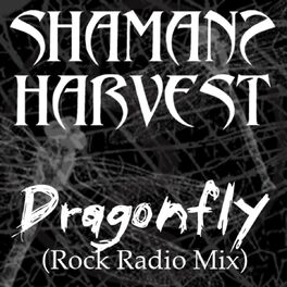 Album cover of Dragonfly (Radio Mix)
