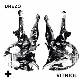 Album cover of Vitriol
