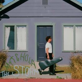 Album cover of The Storm (feat. Sam Phillips & Ryan Dennis)