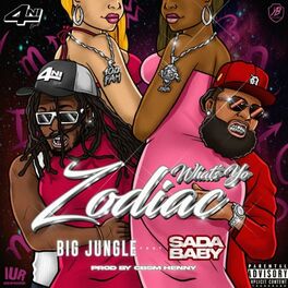 Album cover of Whats Yo Zodiac (feat. Sada Baby)