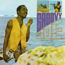 Album cover of Groovy Joe