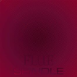 Album cover of Flue Spindle