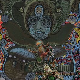 Album cover of Midnight`s Shared Blossom