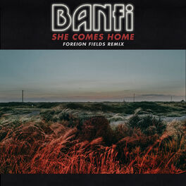 Album cover of She Comes Home (Foreign Fields Remix)