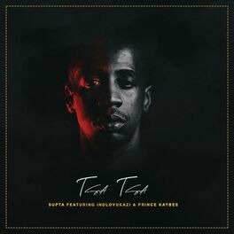Album cover of Tsa Tsa (feat. Indlovukazi & Prince Kaybee)