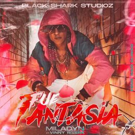 Album cover of Fue Fantasia