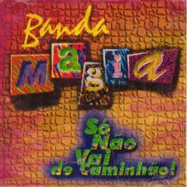 Album cover of Só Não Vai de Caminhão !