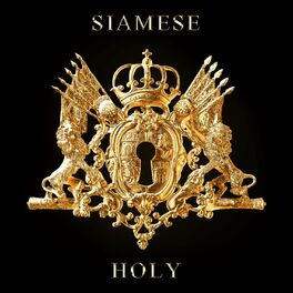 Album cover of Holy