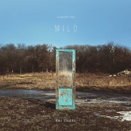 Album cover of Chapter Two / Mild
