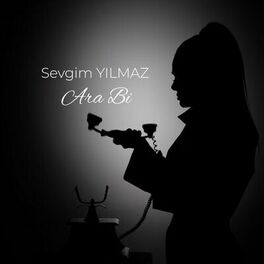 Album cover of Ara Bi